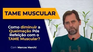 Como diminuir a Queima&ccedil;&atilde;o P&oacute;s Refei&ccedil;&atilde;o com o TAME Muscular?