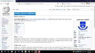 Wikipedia to Wikidata Item