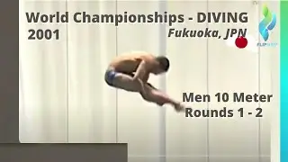 2001 Men 10 Meter Diving Finals World Diving Championships - Rounds 1 & 2