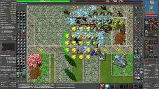 Tibia Summer Court Fire Elf Hunt ED 560 Solo Druid