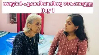 നാട്ടിൽ എത്തിയതിനു ശേഷമുള്ള Day 1 | Oru Al Mallu Family 