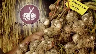 Лампочки огня &mdash; агробизнес в Норт-Симко