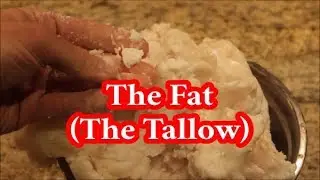 What is the Fat of Leviticus we are not to eat?