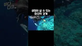 바닷속 빛과 어둠의 경계에서 발견한 것들 #shorts