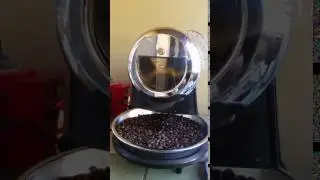 Ethiopia Sidamo | Hottop KN-8828 | Cooling Cycle