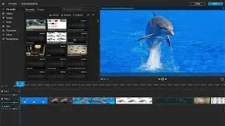Tutorial #9 WeVideo Audio Editing