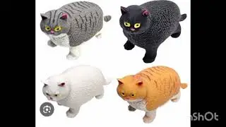 Fat cat strechy edit 🐈🐈&zwj;⬛🐆🐅
