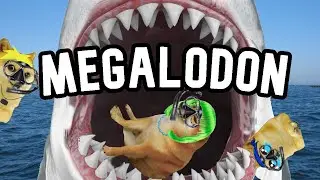 MADRE con DERECHO es COMIDA por UN TIBURON - Hilos con cheems