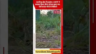 📍 फरसेगढ़ क्षेत्र में हड़कंप: CRPF ने बरामद किया बीयर बोतल वाला बम, देखें ग्राउंड जीरो से वीडियो​