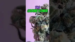 Sunburn Cannabis 14G Ground Flower | Hybrid Blend Review