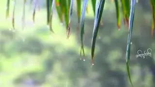 Rain special status !!  WhatsApp status !!  Ye mausam ki barish