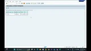 SAP HCM batch 2 part5 WSR batch Generation