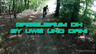 Gabelbaum DH