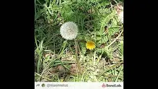 Space bubbles [music]