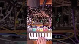 Looking for dub in all the wrong cases #euroracksynth #eurorack #jam