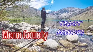 Mono County Fishing: Rainbow Trout