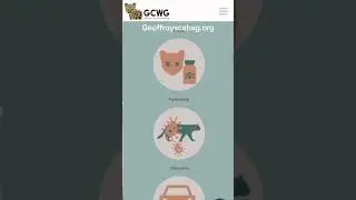 Some Geoffroy&rsquo;s cat conservation #wildlifeconservation