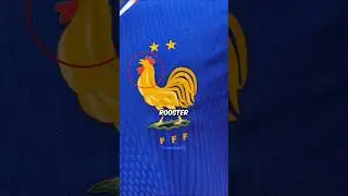 Почему у Франции в форме есть курица? 🐓🤔