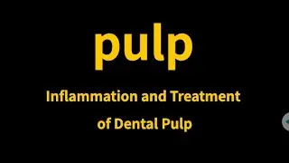 pulp ( in Dentistry )