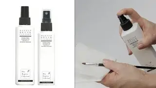 The Pro Hygiene Collection&reg; - Makeup Brush Cleaner - About & How to Use Guide
