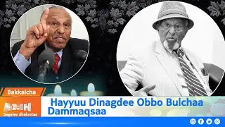Bakkalcha:- Hayyuu Dinagdee Obbo Bulchaa Dammaqsaa