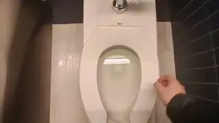American Museum of Natural History Richard Gilder Center toilets 