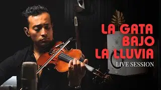 LA GATA BAJO LA LLUVIA / ROCÍO DÚRCAL  - Live Session