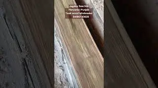 Teak wood with beautiful grains premium quality teak wood wholesaler, Jagdev Saw Mill (HR & PB).