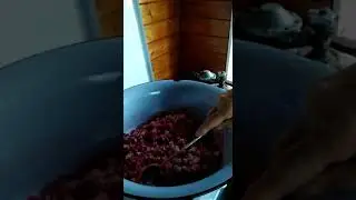 Raspberry jam building. Stage one/варка пятиминутки. Малиновое варенье