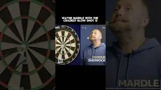 Wayne Mardle *CRAZY* blow shot 🤯🎯 | Subscribe for daily darts #darts