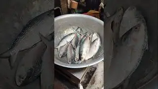 FISH MARKET: NBL Fish | Howrah | viral Fish Cutting video#shorts #fish
