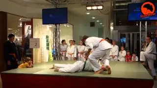 SEISHIN Weimar - Vorführung im Atrium Weimar