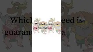 🤣 Animal Jokes #18 🤣DOG BREEDS