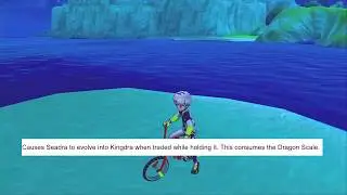 Dragon Scale location in Pokemon Sword and Shield