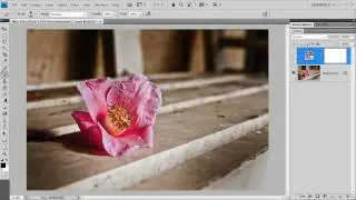 Selective colour in Photoshop - Quick Shots 7