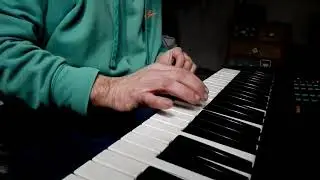 Accordion playing with synth
