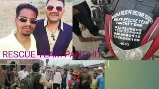 snake rescue team in panchit#viralvideo #rescueteam #rescuesnake #vlog #snakevideo #cobrasnake
