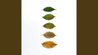 지금 이대로