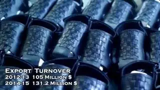 Pakistan footwear industry (Firhaj and Imperial Footwear)