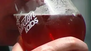 College Offers Degree In Beer Brewing Science