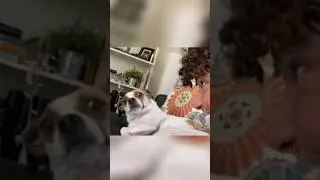 Fala isso n&atilde;o junior 😳🤣