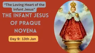 Prayers to Infant Jesus Of Prague Novena Day 9&ndash;&ldquo;The Loving Heart of the Infant Jesus&rdquo;I 13th Jan 2026