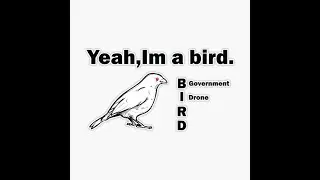 Birds aren't real (Awakening Horus)