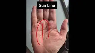 Sun Line Shohrat Ki Lakeer #fortunetelling #palmistry #horoscope