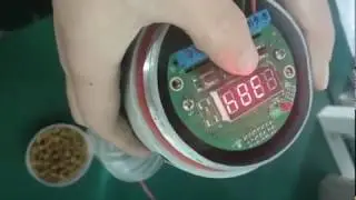 Smart Vibrating tuning fork level switch for solid and liquid