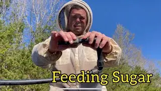 A QUICK way to feed a lot of honeybee colonies.