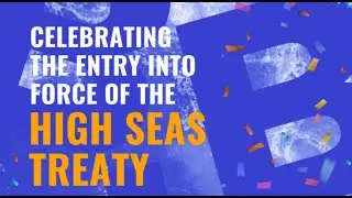 Celebrating the entry into force of the High Seas Treaty