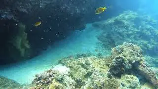 Divers Heaven 2