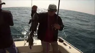 Deep Sea Fishing Charters Myrtle Beach, South Carolina | Jumbo Black Sea Bass