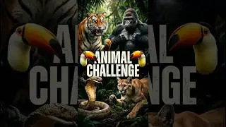 Challenge Animal: &iquest;Qui&eacute;n es el Rey bajo el agua? 🌊